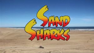 sand-sharks-1