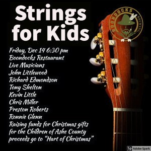 2018 Strings for Kids